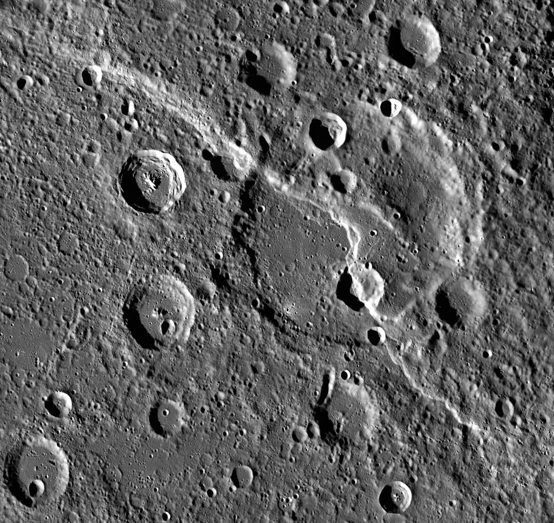 The Carnegie Rupes